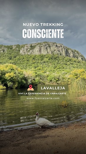 Enraizarte 🌳 on Instagram: "NUEVO TREKKING CONSCIENTE 🌳 Estamos felices de presentar un nuevo encuentro en la naturaleza! 🌿 En esta oportunidad nos vamos al Departamento de Lavalleja, más precisamente a la ciudad de Minas. - Cerro Arequita ⛰️ - Monte de ombúes 🌳 - Meditación 🧘🏻‍♀️ 🧘🏻‍♂️ - Gruta Colón ✨ - Laguna de los cuervos 🦅 - Almuerzo compartido 🧇 - Dinámicas grupales 🌀 - Sorteo 🎁 - Sorpresas 🔥 Si estás buscando una experiencia de conexión con la naturaleza, es con nosotros, por