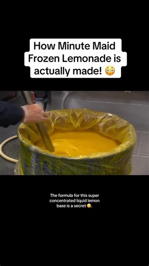 Mads冀 on Instagram: "How Minute Maid Frozen Lemonade is actually made!  #minutemaid #frozenlemonade #lemonade #food #cooking"
