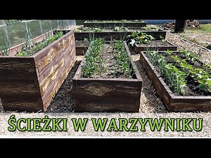 Vegetable garden paths between raised beds, edging, wood chips - Vegetable garden 6