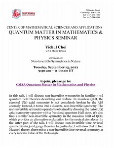 Non-invertible Symmetries in Nature - CMSA