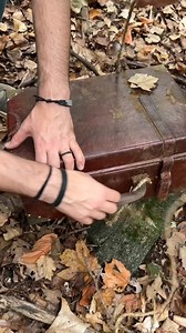 4M views · 59K reactions | old trunk found in the woods Not sure how long this had been there or what the reason is, but this seemed pretty cool to find! | The Monroe Family | Facebook