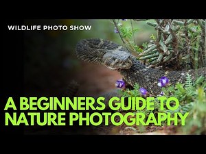 A Beginners Guide to Nature Photography