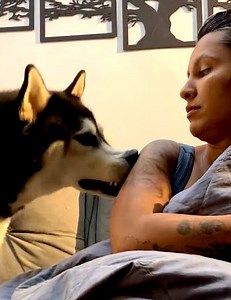 9.7M views · 127K reactions | His eyes say it all 梁 | WTVideo | Facebook