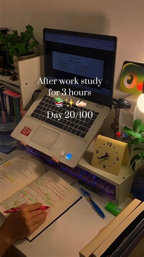 TT on Instagram: "Christmas night study 🎄📚✨#fyp #studyvlog #勉強 #studymotivations #studyhacks"