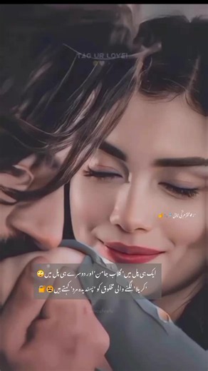 Request to Unfreeze TikTok Account — Appeal Message