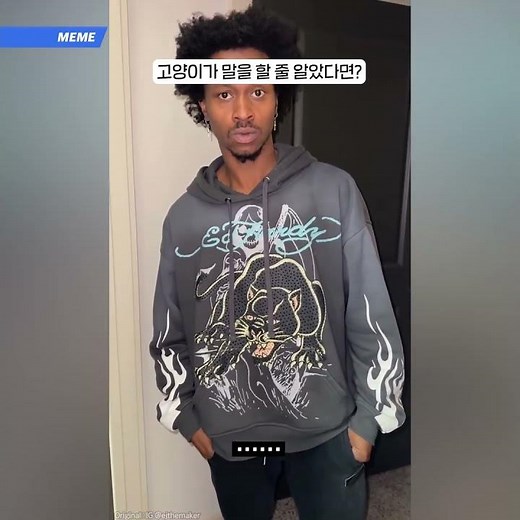 고양이가 말을 할 줄 알았다면?