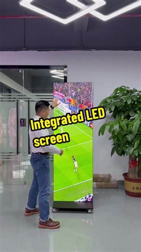 Integrated LED Screens for Versatile Commercial Displays