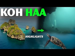 What’s the BEST Dive Spot in Koh Lanta for 2025? KOH HAA