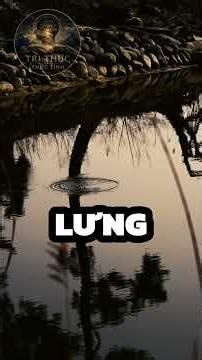 14 nguyên tắc vàng #shorts #baihoccuocsong #trietlysong #loiphatday