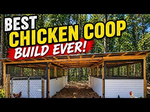 Best Chicken Coop Build EVER (Barn Style Walkthrough!)