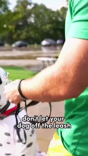 😒 #unspeakable #unspeakablegaming #unspeakableedit #unspeakablefan #unspeakablefam #fyp #fypシ #fypage #fypp #viral? #unspeakablejames #unspeakablegabe #unspeakablejamesandgabe