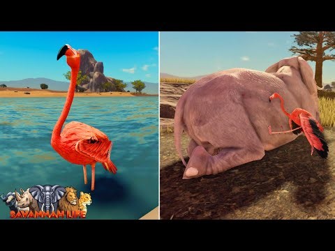NEW Flamingo Animal Update! | Roblox Savannah Life
