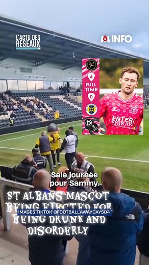 "Sammy the Saint", la mascotte d'un petit club anglais a visiblement bien profité de l'avant-match. | M6 Info