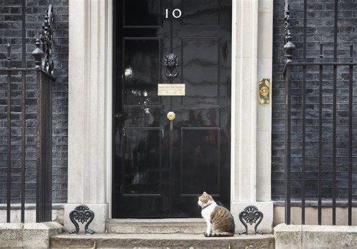 At 18, Larry still the #1 protector at 10 Downing Street! | Tellyspotting