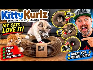 Trying the Kitty Kurlz Toy from PETSWEET | Honest Cat Reaction 🐾
