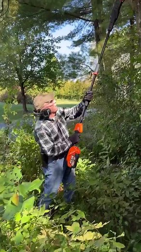The Atlas 80v Brushless Cordless 10” Pole Saw extends to 9 ft. for up to 15 ft. overhead reach, making it easy to prune and limb high branches. #chainsaw #polesaw | Harbor Freight