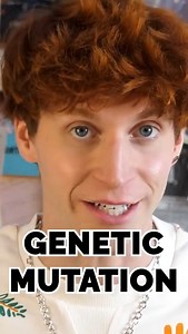 206K views · 10K reactions | 79.Are You 'Technically' A Dwarf_!.mp4 | Peet Montzingo | Facebook