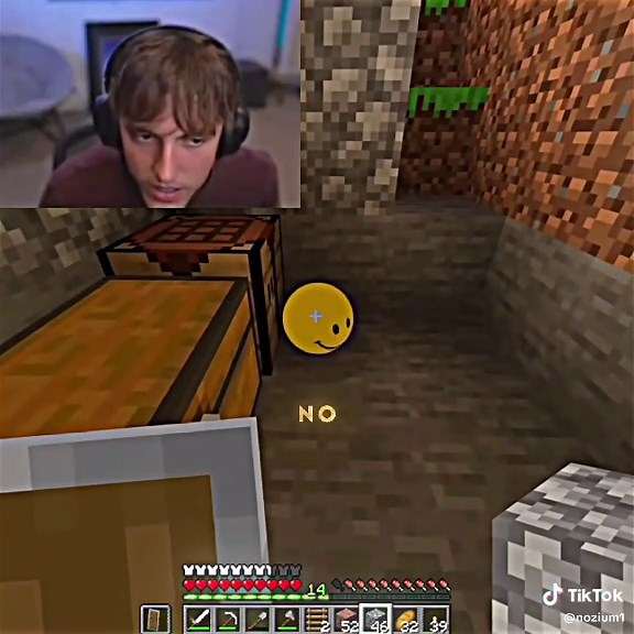 Verity had no answer #minecraft #verity #drdonut | Verity