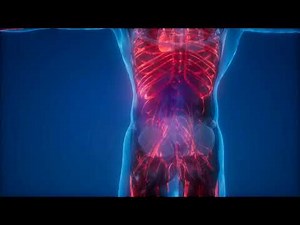 Human Body stock footage||Creative common stock footage