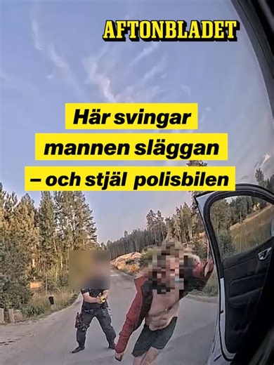 Mannen som stal bil och slog mot poliserna