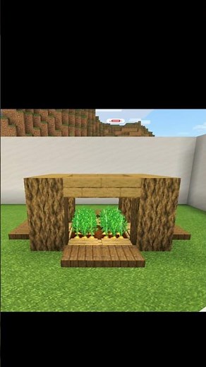 🤯easy to🏗️build🐇rabbit trap