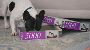 Installing windows? Keep it simple with Andersen 400 Series windows. They have fewer callbacks for added confidence. | Andersen Windows Doors