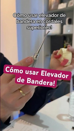 Cómo extraer Cordales superiores con Elevador de Bandera! #odontologia #dentista #cordales