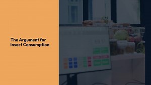 InsectsasSustainableProteinSource