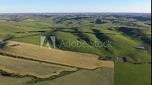 Making hay bales in a field In Australian. Baling silage rolls in a meadow