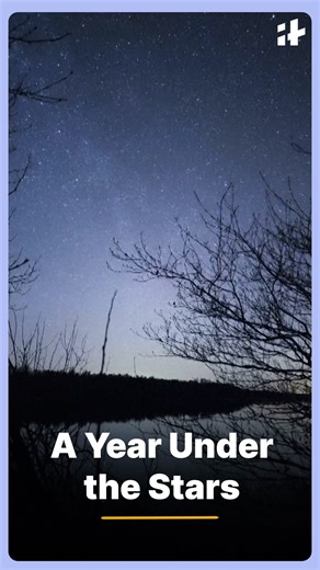 A Hungarian astrophotographer has captured a breathtaking year-long time-lapse showing nature’s transformation beneath a starlit sky. From changing seasons to shifting constellations, the mesmerizing visuals have left the internet in awe of the universe’s beauty. #astrophotography #timelapse #starrysky #nightphotography #cosmos #naturelovers #spacebeauty #viralvideo #skylovers | Indiatimes