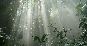 Biosphere 2, lo que aprendimos del mayor laboratorio artificial del mundo