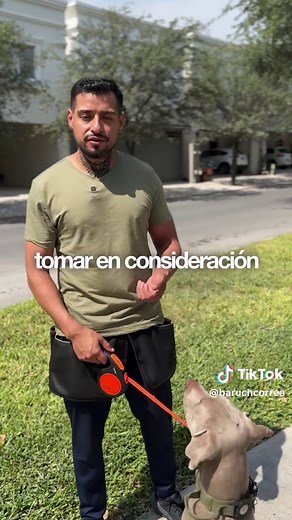 Entrenamiento Canino: Cómo Hacer Que Tu Perro Te Escuche