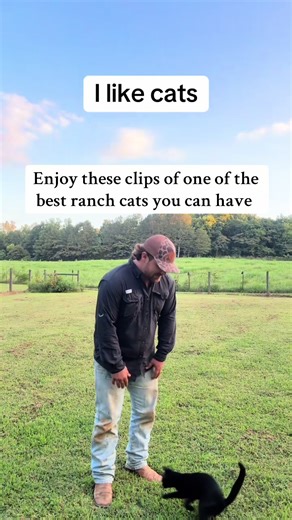 Thought I’d share some footage of Loki. #cat #catsoftiktok #cats #farm #farmcat