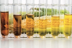 Biodiesel - American Chemical Society