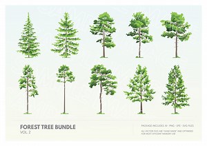 Flat Forest Tree Clipart Vector Collection | Evergreen Trees Vector AI - SVG - PNG - Etsy