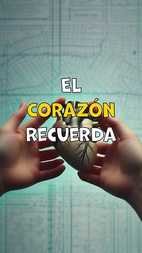 ¿Puede el corazón guardar emociones y recuerdos que el cerebro olvida? En este cautivador documental, exploramos la intrigante conexión entre el corazón y la memoria a través de la historia de Claire Sylvia. Tras recibir un trasplante de corazón, Claire experimentó deseos y pasiones que pertenecían a su donante, revelando una misteriosa relación entre los corazones y las emociones humanas. Con aportes de médicos e investigadores de todo el mundo, descubriremos cómo el corazón, con su propio sist