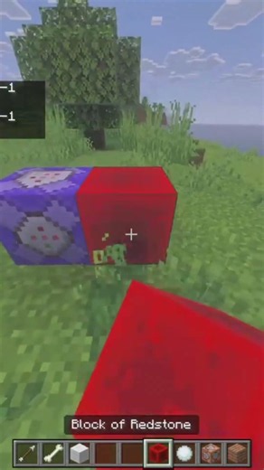 Testing Minecraft Commands so You don’t have to Part 2 #minecraft #shorts #निक्कर