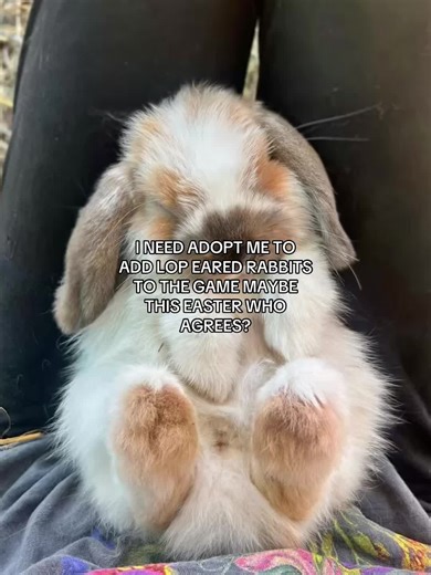Adopt Me! Easter Update: Lop Eared Rabbits