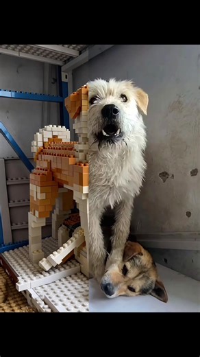 lego slideshow aesthetic, capcut lego slideshow, how to make a slide ostof lego, lego slideshow tut, lego slideshow trend, hyper slide tutorial, lego slideshow pro, capcut slide transition 1 tutorial, lego slideshow short, lego profile picture template, lego slideshow diy, lego slideshow story, lego slideshowtutorial, lego slideshow filter, capcut eye slide tutorial, lego slideshow edit, lego slideshow ai, lego slideshow hypic, lego slideshow reel template, lego slideshow viral, hypic picture sl