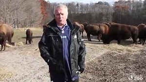 6.8K views · 205 reactions | It’s on The Calgary Zoo! Toronto Zoo CEO...