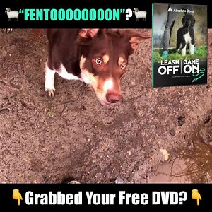 1.4K reactions · 265 shares | Train Your Dog to Truly LISTEN on...