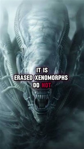 The True Role of the Xenomorph.#shorts #badlands #predator #movie #xenomorphs #facts #scifi #prey
