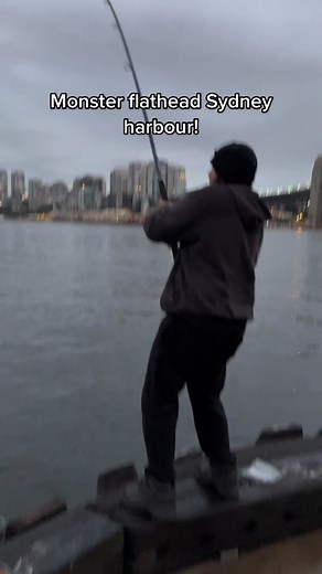 Monster Flathead Fishing at Sydney Harbour