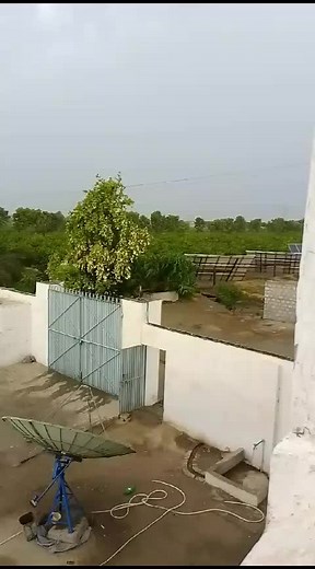 Pakistani Pigeon Club Insights: Join the Community