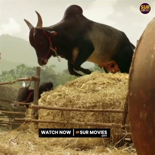 Yajamana | Streaming Now | Sur Movie App
