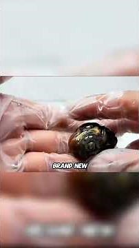 Watch what happens👀#animals #youtubeshorts #shortsfeed