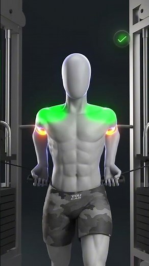 🔥💪 Bayesian Curls for Bigger Biceps Bayesian Curls are one of the best cable exercises for