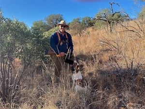MEARNS Quail Hunting Arizona Mountains CLICK ON THE WATERMARK LOWER RIGHT TO SUBSCRIBE!