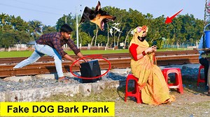 566K views · 9.3K reactions | Fake Dog Bark Prank on Cute Girl | Funny Reaction Prank Video | Comedy Club | Facebook