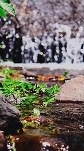 4.7K views · 22 reactions | Crystal Clear River Sounds for Deep Relaxation  Let yourself escape for a moment. Close your eyes and feel the calm flow of the river. Perfect for meditation, study, or a peaceful break. #RiverSounds #RelaxingNature #NatureShorts #CalmVibes #MindfulMoments | Alvin Hidayat Sasnata | Facebook